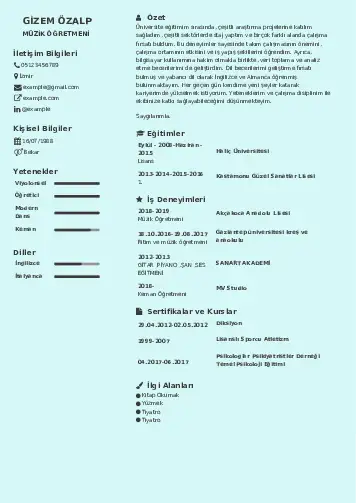 Müzik Öğretmeni Cv Örnekleri cv indir